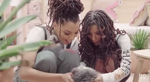 Cat GIF by Chloe x Halle