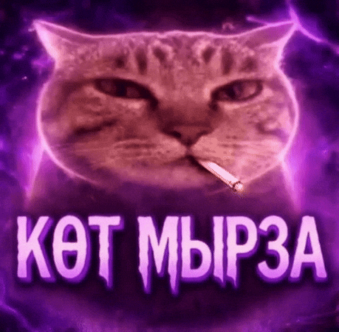 Қазақша Мемдер GIF