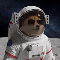 To The Moon Space GIF by Doge Pound