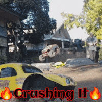 Flip Off Flipping Out GIF