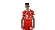 Football No Sticker by FC Bayern Munich