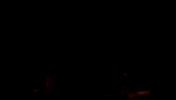 Magnum Pi Train GIF by CBS