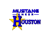 Cheerleading Sticker by Mustang Cheer