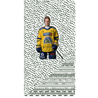 Sandnes Sticker by Storhamar Hockey