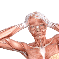 Headache Pain Sticker by Luxxamed GmbH