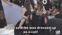 He Was Dressed Up As A Cat