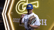 Georgia Tech Baseball GIF by Georgia Tech Yellow Jackets