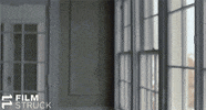 woody allen interiors GIF by FilmStruck