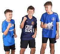 Mc Sticker by THE DOGS - TSV Pfungstadt Handball