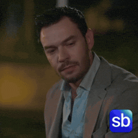 Dizi Sb GIF by Sporbulteni