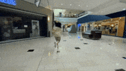 Fast Food Mall GIF by Billie Eilish