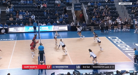 volleyball washington GIF by NCAA Championships