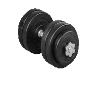 Sport Fitness Sticker by GorillaSportsNL