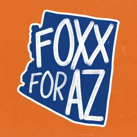 Vote Democrats GIF by Creative Courage