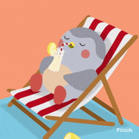 Happy Summer GIF by Finch Care