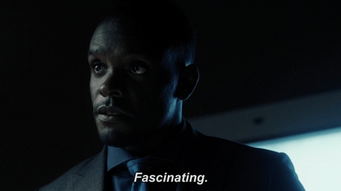 fox tv GIF by Gotham