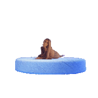 Baby Sticker by Madison Beer