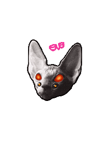 Cat Animation Sticker
