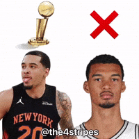 New York Knicks Basketball GIF