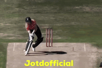 Jotdofficial GIF