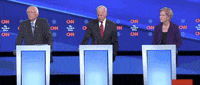 Demdebate GIF by GIPHY News