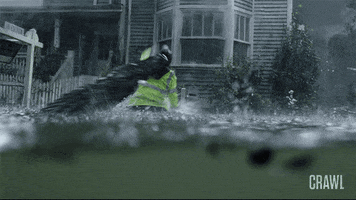 spin attack GIF by The Crawl Movie