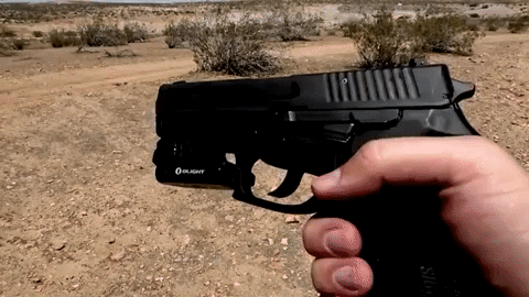 AmericanFirearms giphygifmaker GIF