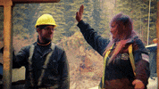 Gold Rush Yes GIF by Discovery
