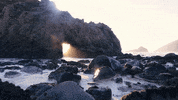 Bay Area California GIF by Chris