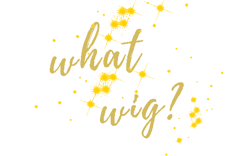 silkorlace giphyupload wig wigs whatwig Sticker