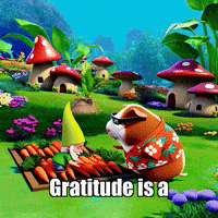 Wisdom Gnome GIF by Guinea Gambino