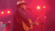 Wilcoworld wilco GIF