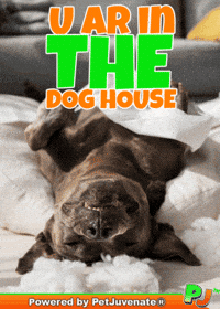Henlo Hooman Fren GIF by PetJuvenate - PJ
