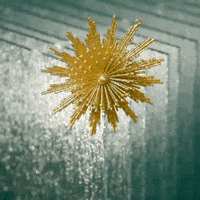 Merry Christmas Love GIF by Contractors Wardrobe