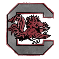 South Carolina Football Sticker by Gamecock Athletics