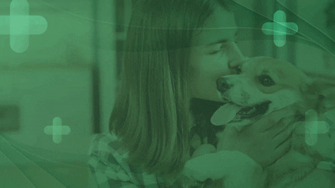 GIF by Agência Limão Criativo