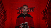 Shakinghead GIF by Rapid City Rush