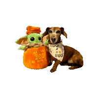Baby Yoda Daschund Sticker by Geekster Pets