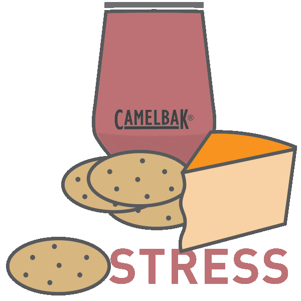 Party Celebrate Sticker by CamelBak