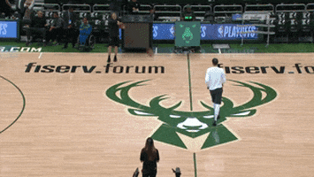 Nba Playoffs Sport GIF by NBA