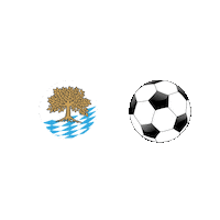 SVAschau fussball tor kreisliga mannschaft Sticker