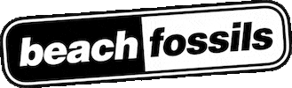 Beach Fossils Indie Sticker by Bayonet Records