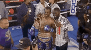 toprank boxing fighting champion espn GIF