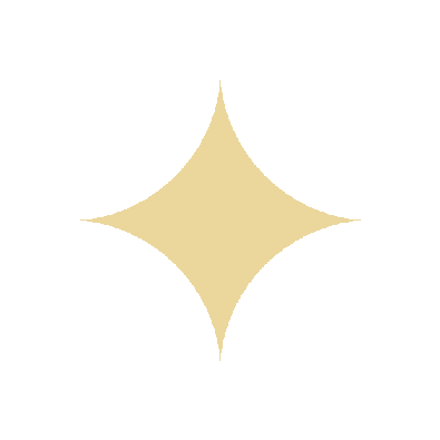 Star Sparkle Sticker