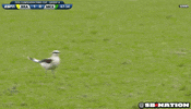 mlb running GIF by SB Nation