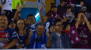 tdmas_cr  GIF
