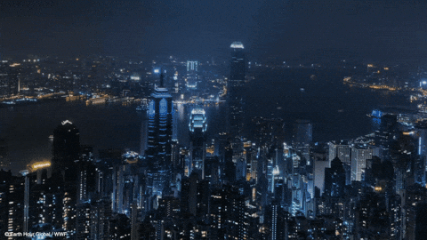 Hong Kong Night GIF by Earth Hour