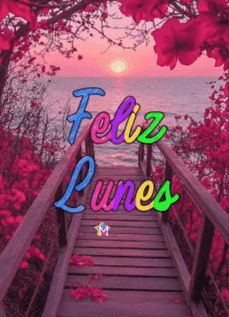 Feliz Gracias GIF by Murcianys LLC