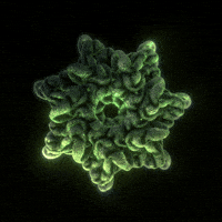 Loop Nft GIF by xponentialdesign