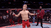 Sport GIF by UFC